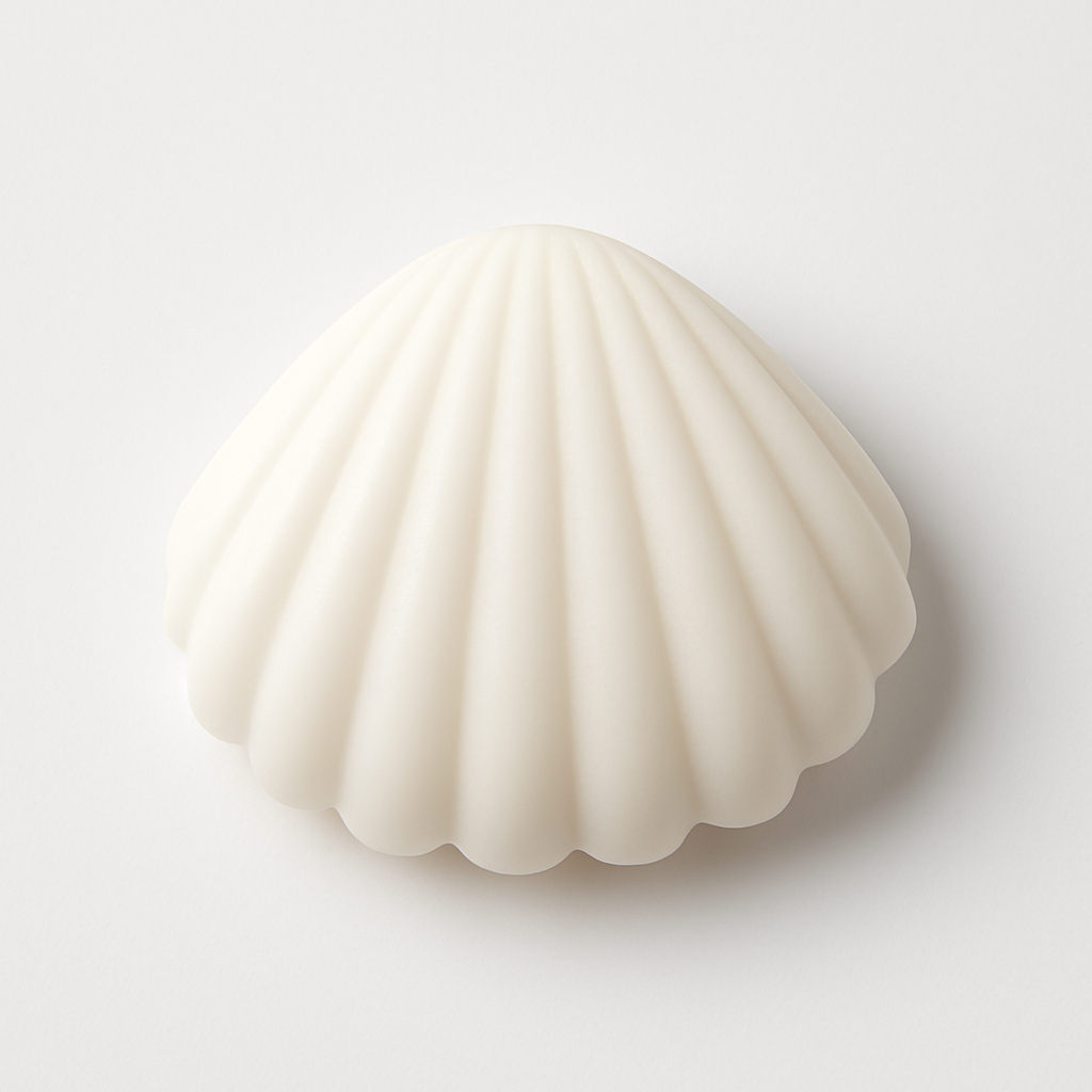 The Shell